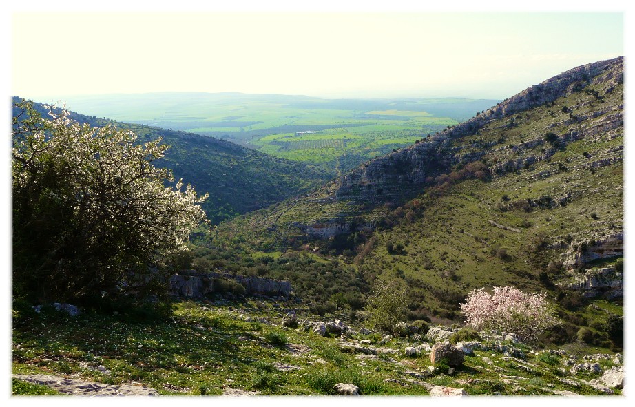 Orizzonti lontani